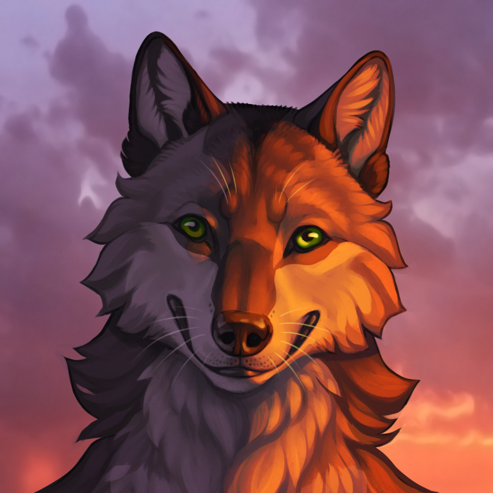 Face of an anthro grey wolf with grey fur